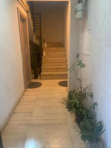 un couloir avec des escaliers dans une maison ornée de plantes dans l'établissement HUGO Luxury Brand New 2 Bedrooms Apartment in the Center, à Craiova
