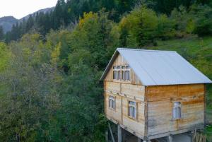 Příroda nedaleko bed and breakfast