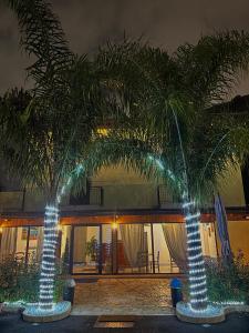 two palm trees in front of a building with lights at Villa Delle Rose in Naples +10 photos