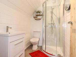 a bathroom with a shower and a toilet and a sink at Hartsop Magic - Crossgate Luxury Glamping in Penrith