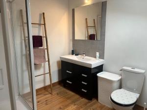 un bagno con lavandino, WC e doccia di Beau Grand T2 Duplex avec du Cachet Centre Ville a Saint-Gaudens