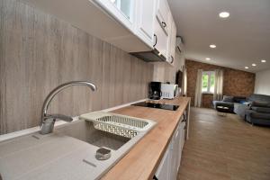 a kitchen with a sink and a counter top at Apartments Plomin in Plomin