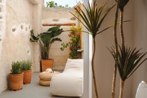 a room with potted plants and a white couch at Aethrion Boutique Apartment in Naxos Chora