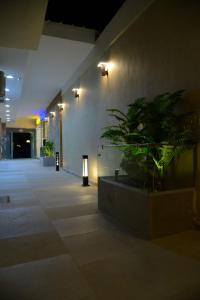 Fotografie z fotogalerie ubytování Maktub Pyramids Hotel v Káhiře + 35 fotografií