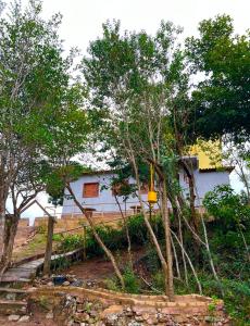 山林小屋所在大楼