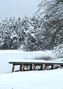 a bench covered in snow with trees in the background at Bungalow direkt am See, mit eigenem Boot in Roding