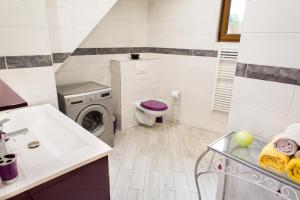 a bathroom with a washing machine and a toilet at la petite maison in Wintzenheim