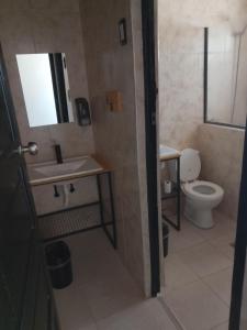 un bagno con un water, un lavandino e uno specchio di Cordero Ne gro a Malargüe