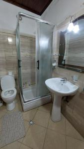 a bathroom with a sink and a shower and a toilet at Hava Baci (old town) in Berat +34 photos