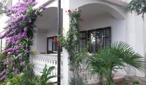 Zahrada ubytování Apartments Golub