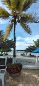 コベニャスにあるCondominio bahia blancaの浜辺のヤシの木