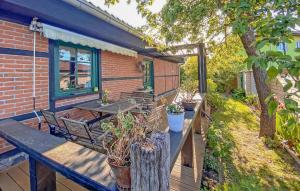 Κήπος έξω από το Ferienhaus Benz-Usedom