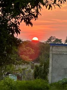 度假屋周边自然景观