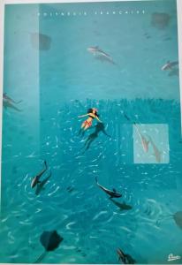 PaeaTahatai - Private beach, pool, AC, High speed net的相册照片