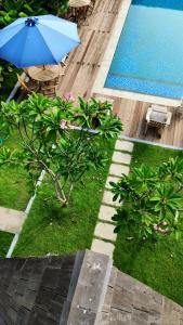 Bazén v ubytování Maya Ocean Resort nebo v jeho okolí