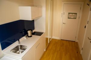 Kuchyň nebo kuchyňský kout v ubytování VIP APARTmENTS N9