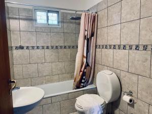 a bathroom with a toilet and a sink and a tub at Sur Alojamiento Ushuaia in Ushuaia +28 photos