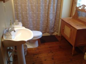 a bathroom with a sink and a toilet and a shower at Bears Lair cabin Chalet in Sevierville