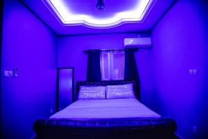 雅温得Luxuria Inn yaounde的一间卧室配有带一张床的紫色客房