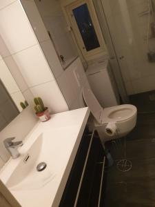 a bathroom with a white toilet and a sink at Tevlingveien 9 in Alnabru