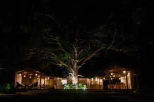 Φωτογραφία από το άλμπουμ του Parada Beach Camp σε El Nido