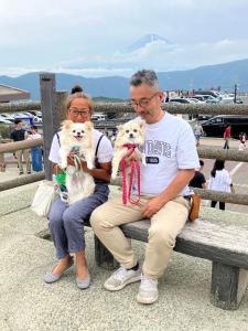 Hosté ubytování Slowhouse ZUSHI