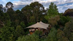 a tent in the middle of a forest at The Enchanted Retreat - Unforgettable Luxury Glamping in Havelock North