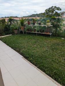 a garden with a table with potted plants on it at N'JOK Papeete in Papeete +9 photos