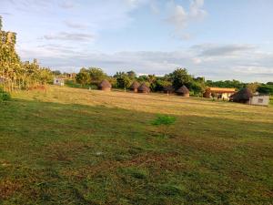 a field with a group of huts in the distance at Grassroots Cottages Murchsion Falls in Purongo