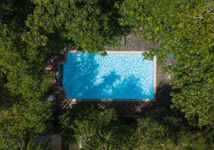 una vista sul tetto di una piscina tra gli alberi di Jungle Addition a Phnom Penh
