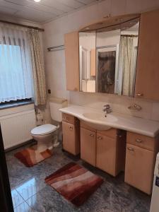 a bathroom with a sink and a toilet and a mirror at Ferienwohnung Im Lamer Winkel in Arrach