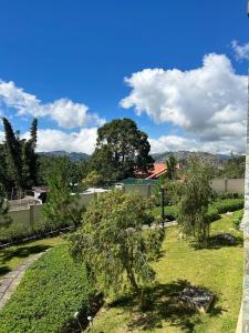 a view of a garden with a tree in the grass at Bristle Ridge Bluebird 103 Baguio City in Baguio