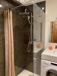 a shower with a glass door next to a sink at Cat Garden Business Apartments Riga in Rīga +17 photos
