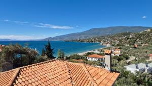 Táj Show holiday homes közelében