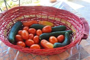 a basket full of tomatoes and cucumbers on a table at Villa Ca' Doccio Holiday in Auditore