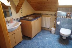 Kúpeľňa v ubytovaní Ubytování a apartmány Sluníčko + 37 fotografií