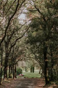 ビッボーナにあるGinestriccioの木々や芝生が茂る公園内の小道 +70枚の写真