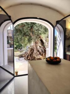 a bowl of fruit on a table in a room with a tree at Casa Lama in Monopoli