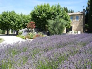 Κήπος έξω από το provencal farm house with heated pool located to salon de provence, 12 people