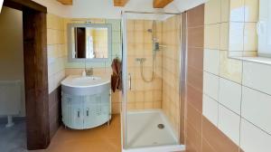 a bathroom with a sink and a shower at Chata Jožka in Vyšné Ružbachy