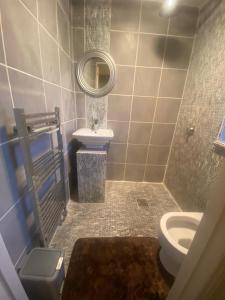a bathroom with a toilet and a sink and a mirror at Harbury Lodge in Scotstoun West Station