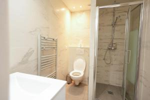 a bathroom with a toilet and a shower in it at Loft 2 BR Marais, Notre Dame AC by LCC Agency in Paris