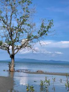 Příroda nedaleko prázdninového domu