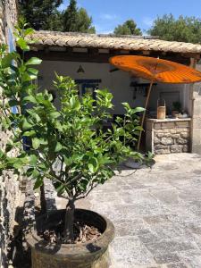 Ogród w obiekcie very pleasant provençal mas, typical to the region, with heated pool in saint remy de provence - 9 people