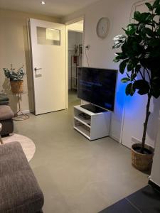 a living room with a flat screen tv and a plant at Souterrain aan zee in Noordwijk