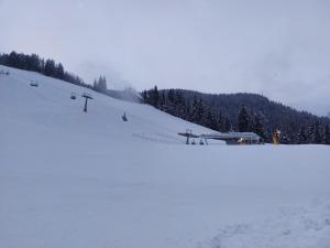 Blosegghof Bergchalets Waldblick talvel