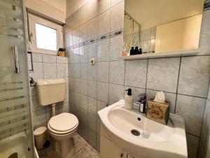 a small bathroom with a toilet and a sink at Sveti Duh Apartment Seaview in Posedarje +13 photos