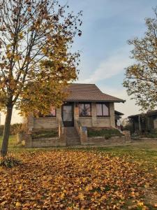 Budova, kde se the country house nachází