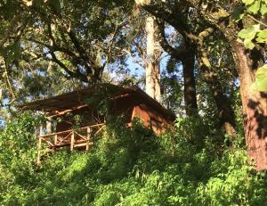 a tree house in the middle of the forest at Villa Kinyonga, Camp Mawingu in Muheza +10 photos