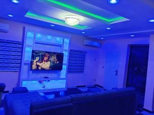 TV a/nebo společenská místnost v ubytování Frills Apartments